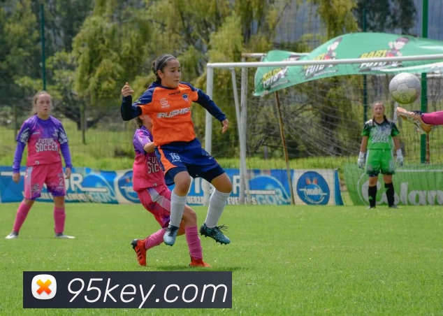 多媒体互动体验